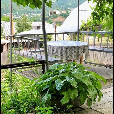 Achela'S Guesthouse Borjomi Ngoại thất bức ảnh