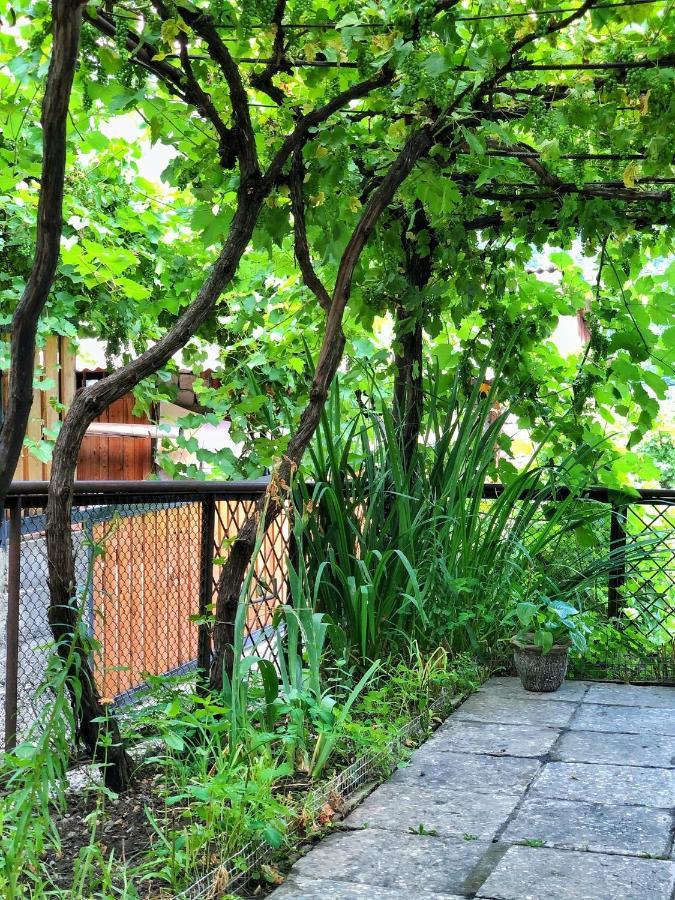 Achela'S Guesthouse Borjomi Ngoại thất bức ảnh