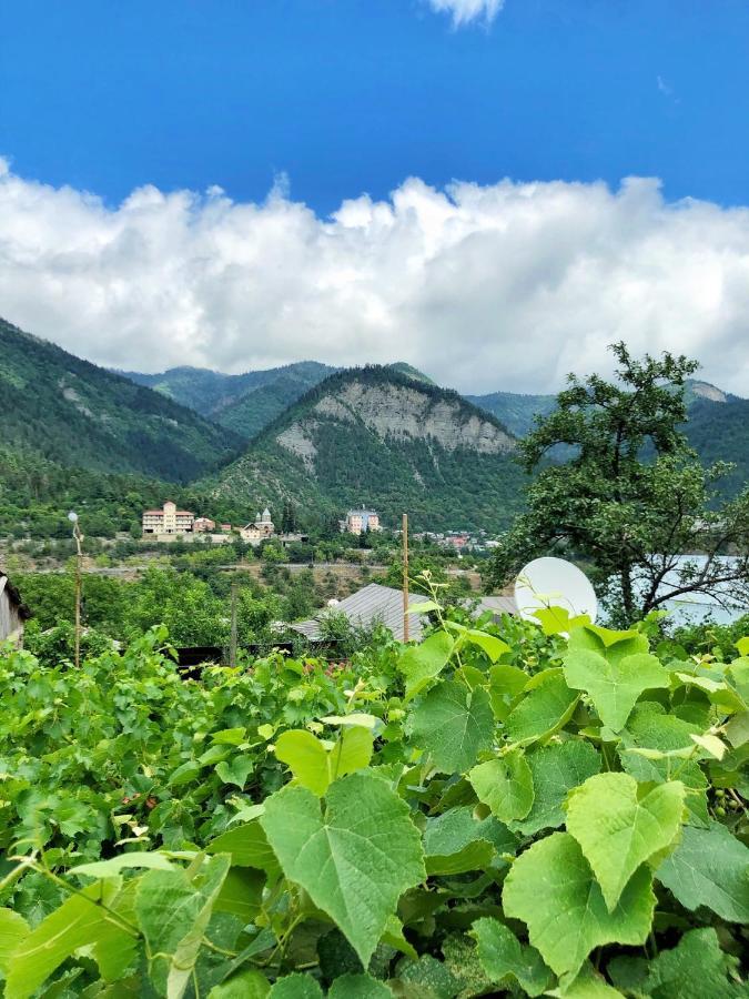 Achela'S Guesthouse Borjomi Ngoại thất bức ảnh