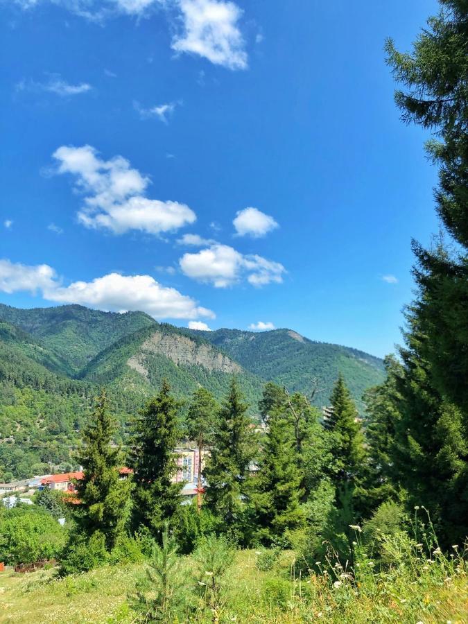 Achela'S Guesthouse Borjomi Ngoại thất bức ảnh