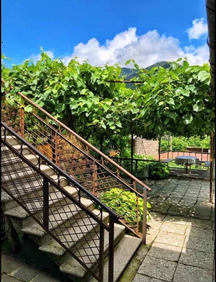 Achela'S Guesthouse Borjomi Ngoại thất bức ảnh
