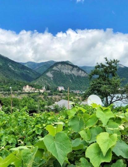 Achela'S Guesthouse Borjomi Ngoại thất bức ảnh