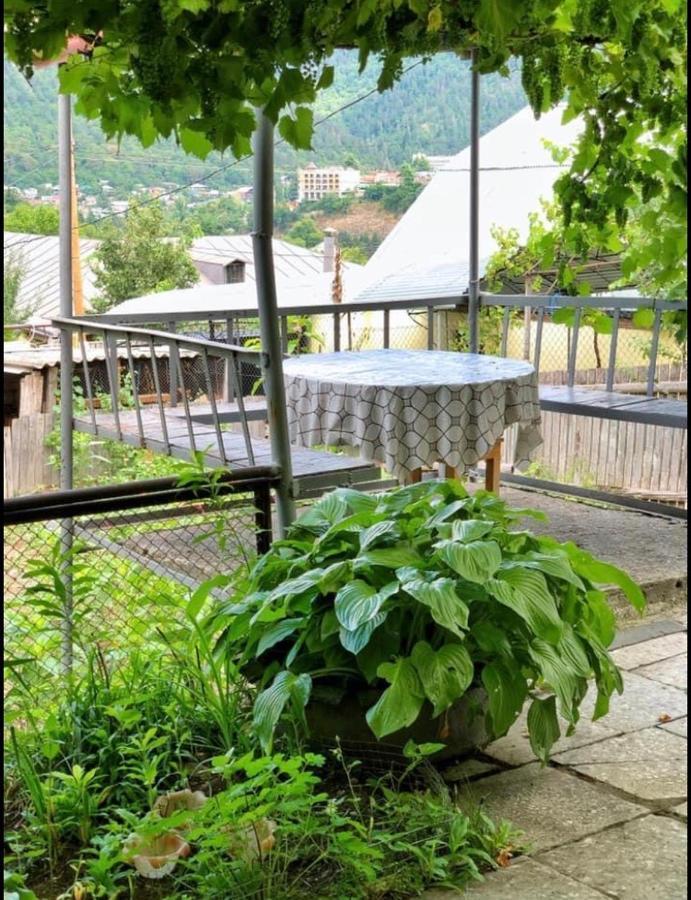 Achela'S Guesthouse Borjomi Ngoại thất bức ảnh